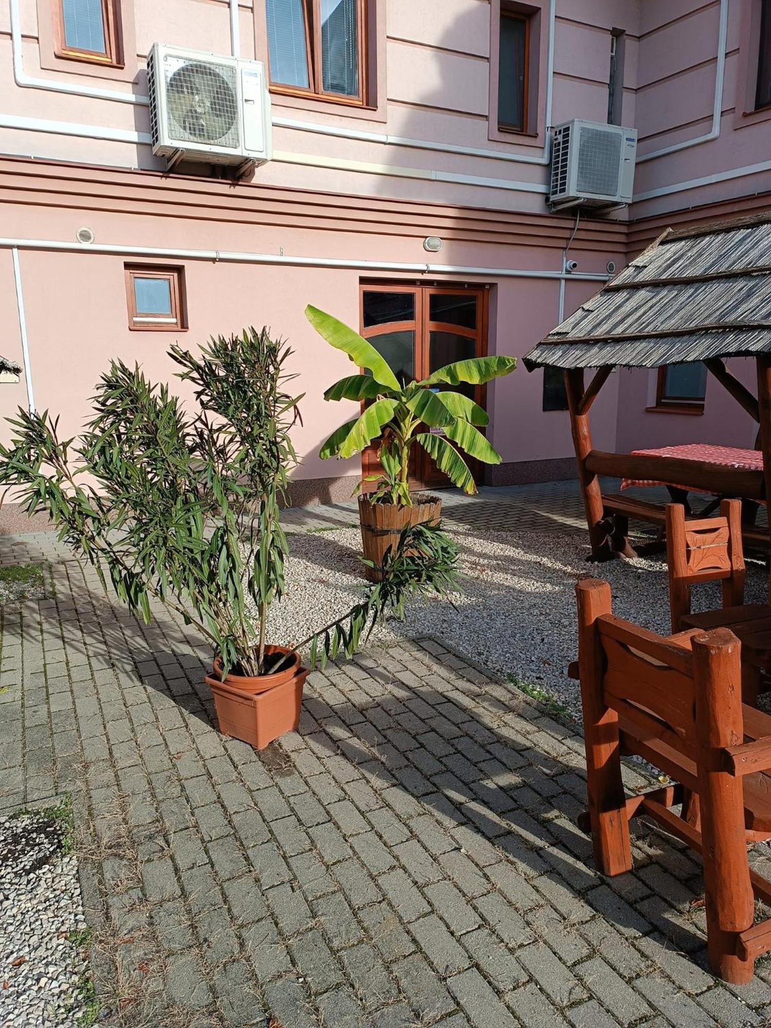 Kiskunfélegyháza Malom Panzio B&B 외부 사진